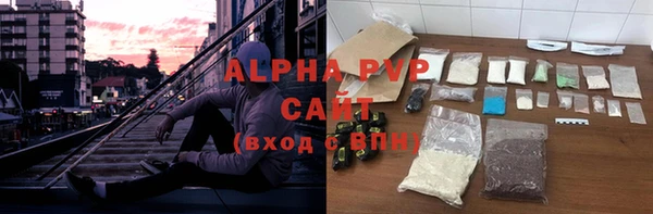 прущие грибы Нефтекумск