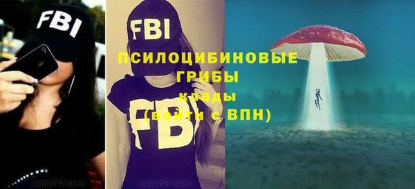 прущие грибы Нефтекумск