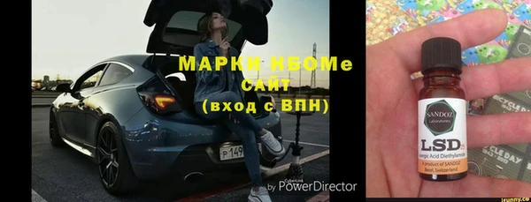 прущие грибы Нефтекумск