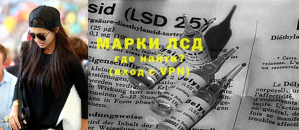прущие грибы Нефтекумск