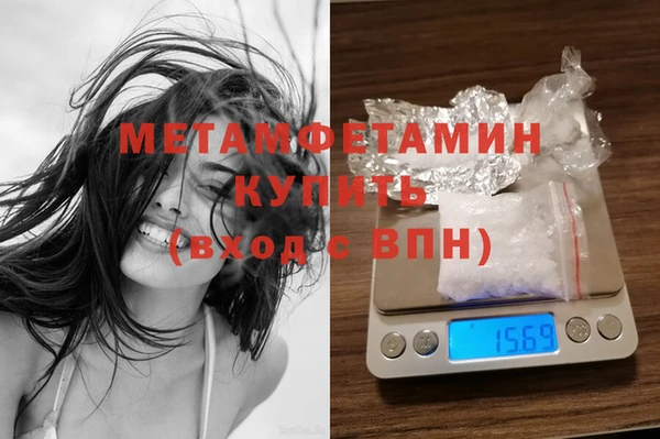 прущие грибы Нефтекумск