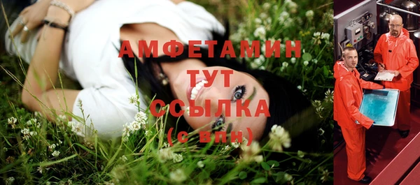 молекула духа Наволоки