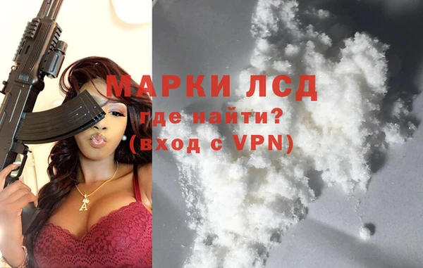 прущие грибы Нефтекумск