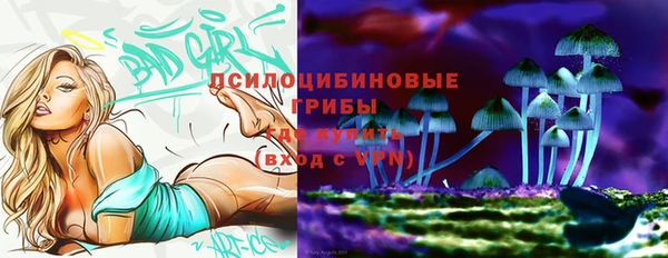 прущие грибы Нефтекумск